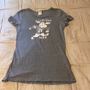 Abercrombie and Fitch Tee (M)